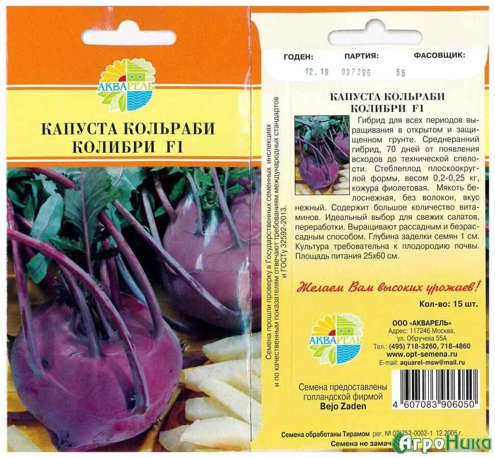 Капуста колибри фото Капуста Кольраби: выращивание и уход в открытом грунте и в домашних условиях, фо
