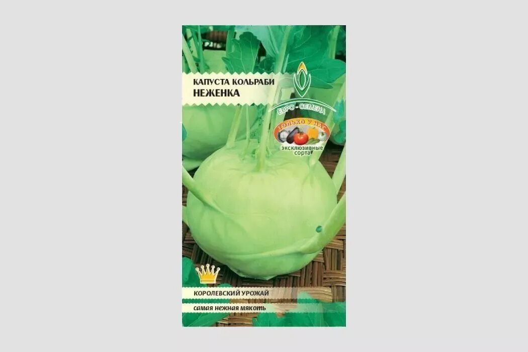 Капуста колибри фото Капуста кольраби какие витамины содержит