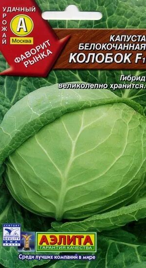Капуста колобок фото описание Капуста б/к Колобок F1 0.1г позднеспелый /Лидер (Аэлита)* Р семена купить в Крас