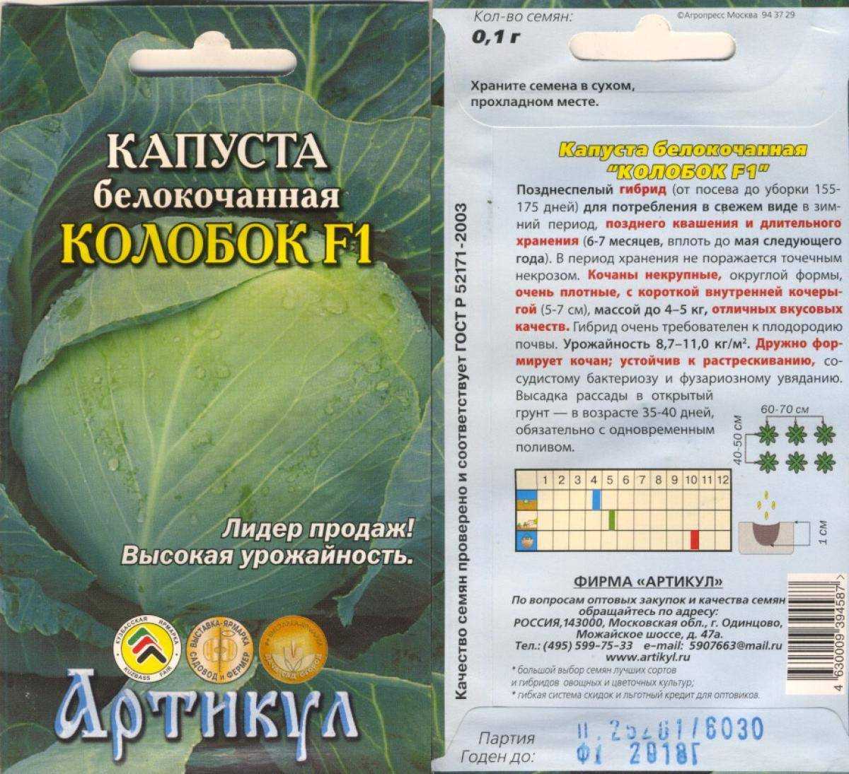 Капуста колобок описание сорта фото Описание сорта белокочанной капусты колобок - домсадовника