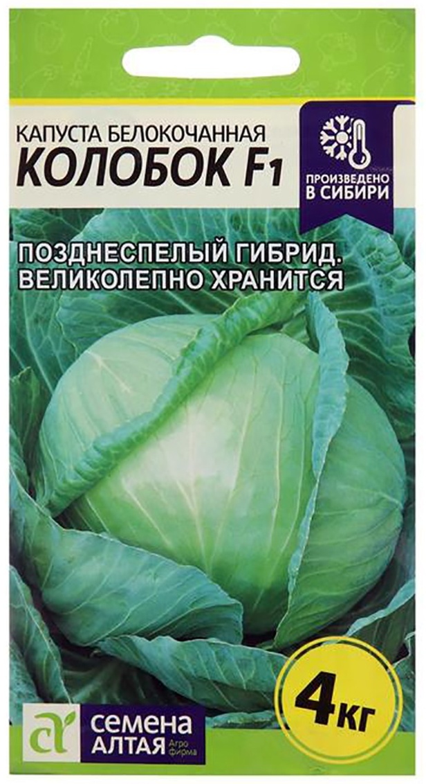Капуста колобок описание сорта фото Купить Семена Семена Алтая капуста белокочанная Колобок в Алматы - Магазин на Ka