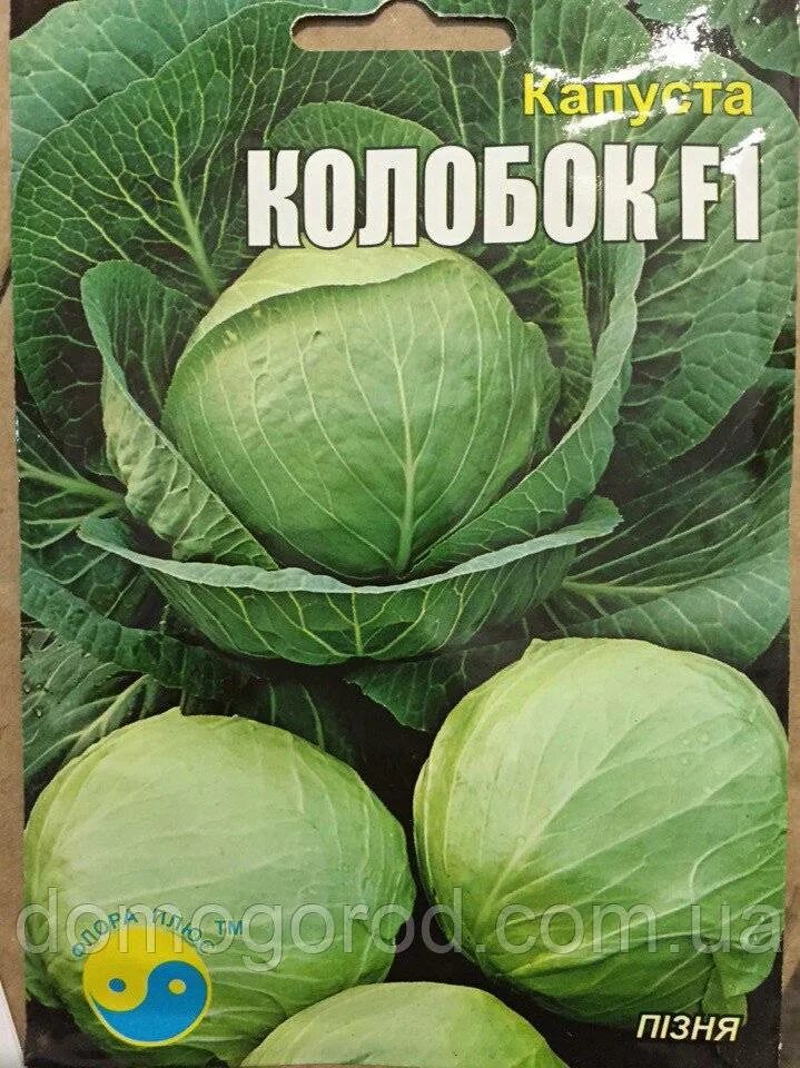 Капуста колобок описание сорта фото отзывы садоводов Капуста колобок описание - CormanStroy.ru