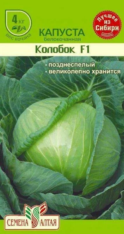Капуста колобок описание сорта фото отзывы садоводов Капуста колобок описание сорта отзывы: найдено 83 картинок