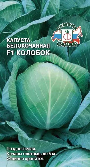 Капуста колобок отзывы фото Купить семена Капуста б/к "Седек" Колобок F1 0,1г в интернет-магазине "7 семян"