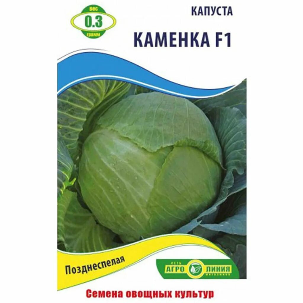 Капуста колобок отзывы фото Капуста Кам'янка F1 (вес0, 3) купить в Кривом Роге