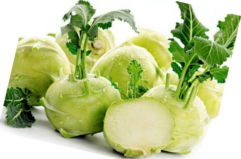 Капуста кольраби фото Kohlrabi eCookie.ru