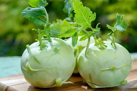 Капуста кольраби фото на грядке Kohlrabi Зображення - огляд 22,052 Стокові фото, векторні зображення й відео Ado