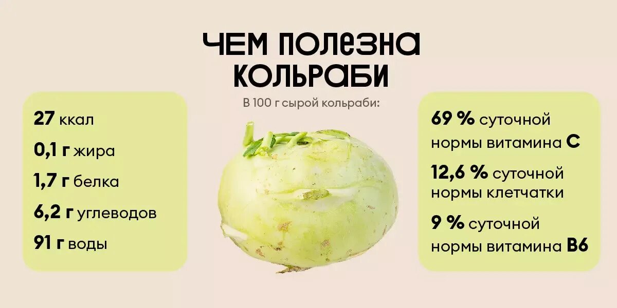 Капуста кольраби фото полезные свойства рецепты приготовления Чем полезна капуста кольраби, как растёт и с чем её едят Новости и статьи ВкусВи