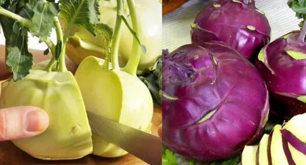 Капуста кольраби фото полезные свойства рецепты приготовления Капуста кольраби: польза и вред, полезные свойства и противопоказания
