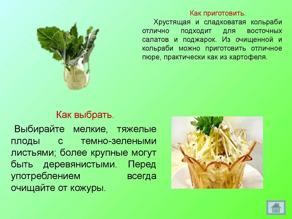Капуста кольраби фото полезные свойства рецепты приготовления Как готовить капусту кольраби свежую CoffMachines.ru