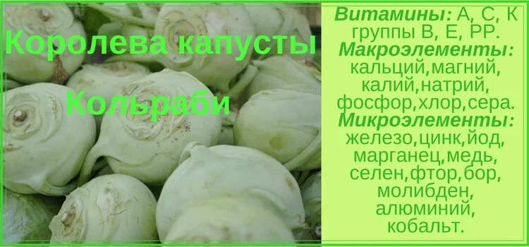 Капуста кольраби фото полезные свойства рецепты приготовления Кольраби капуста польза CoffMachines.ru