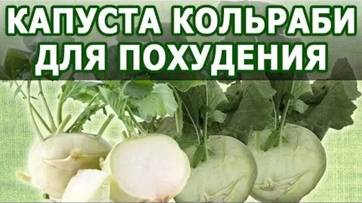 Капуста кольраби фото полезные свойства рецепты приготовления голубцы рецепт видео в мультиварке - Кулинарные рецепты ОК