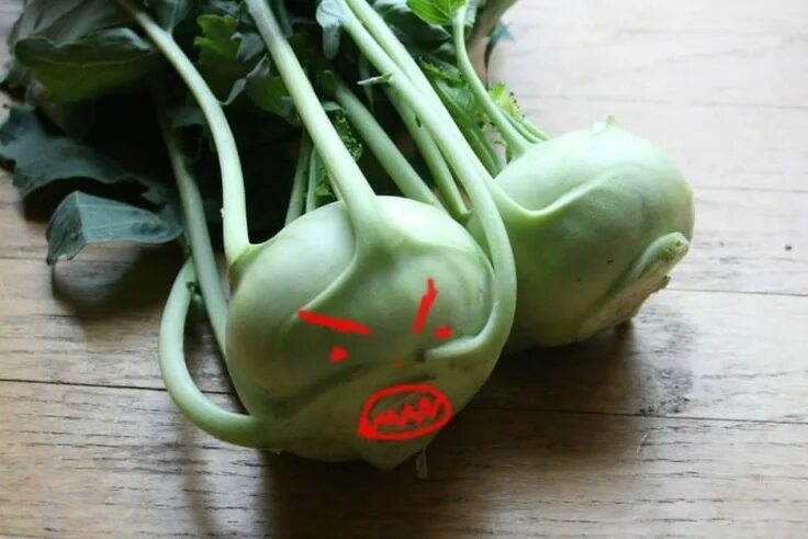 Капуста кольраби фото полезные свойства рецепты приготовления 31 Things To Do With Confusing CSA Vegetables Csa vegetables, Csa recipes, Veget