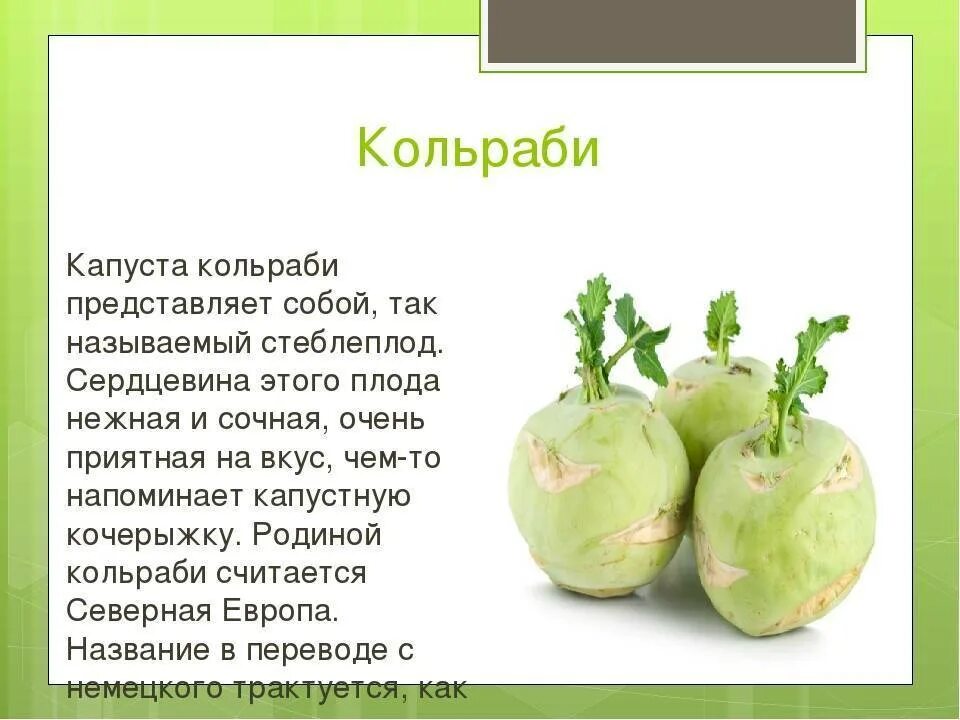 Капуста кольраби фото рецепты Как готовить капусту кольраби свежую eCookie.ru