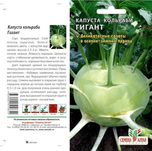 Капуста кольраби описание сорта фото Капуста Кольраби Гигант/Сем Алт/цп 0,3 гр. Цена за 2 пакетика. Семена овощей