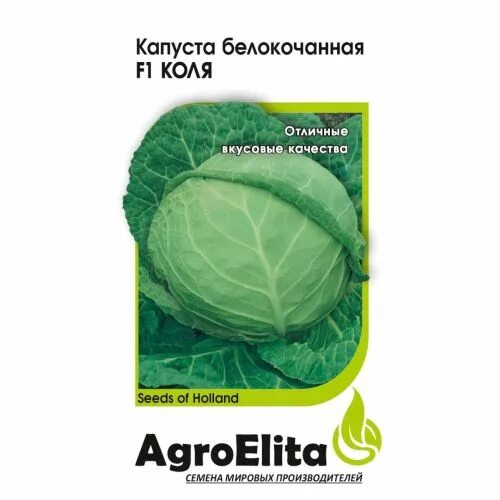 Капуста коля ф1 описание сорта фото отзывы Капуста Коля (Агроэлита) - купить в городе Новосибирск, цена, фото - Семена Успе