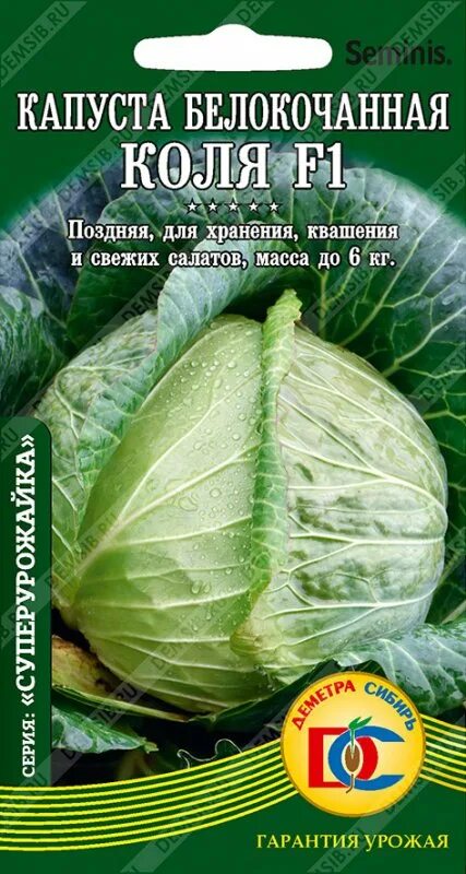 Капуста коля ф1 описание сорта фото отзывы капуста белокочанная Коля F1 /10 шт Дем Сиб/ Seminis (Голландия) Белокочанная Аг
