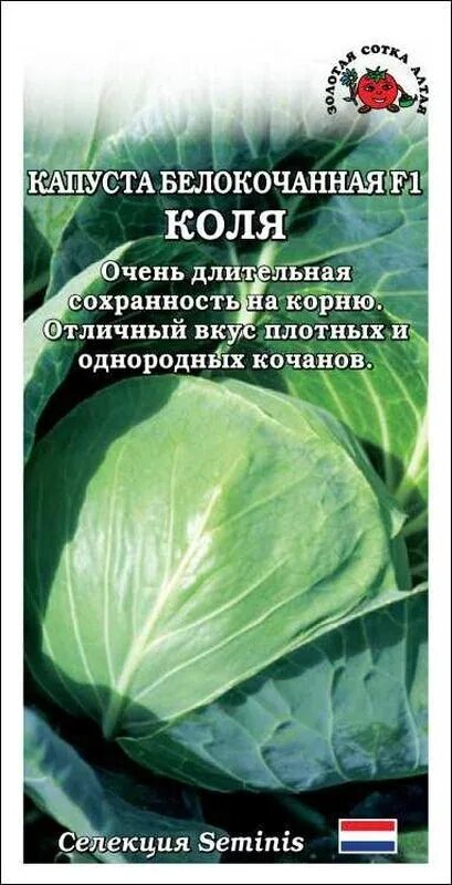 Капуста коля ф1 описание сорта фото отзывы Семена Капуста б/к Коля F1: описание сорта, фото - купить с доставкой или почтой