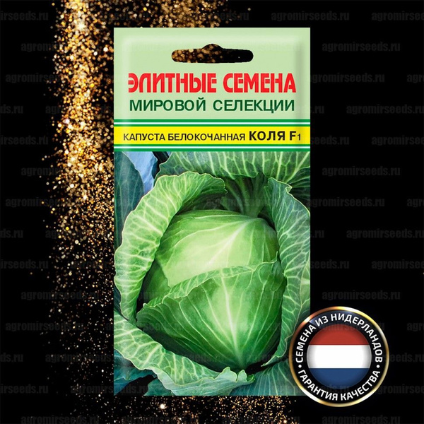 Капуста коля ф1 описание сорта фото отзывы Капуста Редкие семена Капуста б/к Коля Seminis F1 15шт - купить по выгодным цена