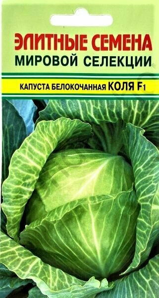 Капуста коля фото Семена Капуста белокочанная Коля F1 15шт Seminis Редкие Семена - купить в интерн