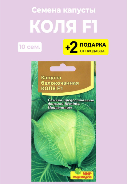 Капуста коля фото Капуста For Home And Family Коля F1_бирюзовый - купить по выгодным ценам в интер
