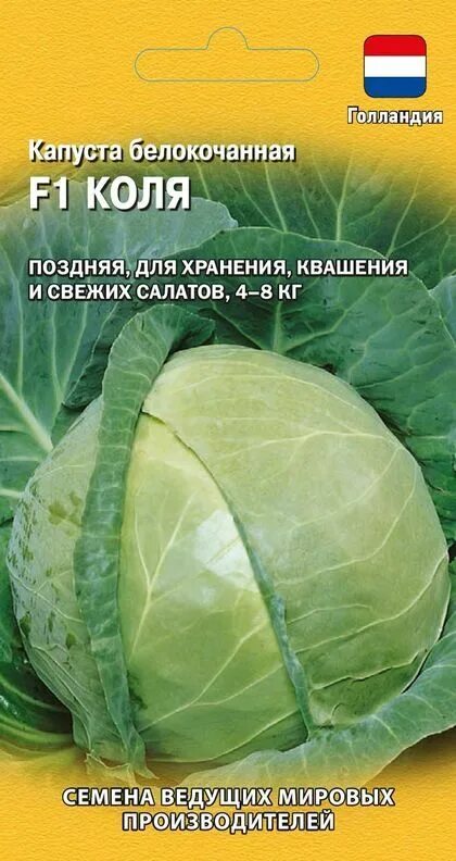 Капуста коля фото Капуста Гавриш Тор26984 - купить по выгодным ценам в интернет-магазине OZON (585