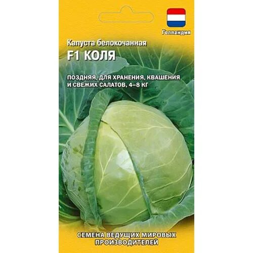 Капуста коля описание сорта фото Капуста белокочанная Коля F1 Гавриш (91691): купить семена почтой в России интер