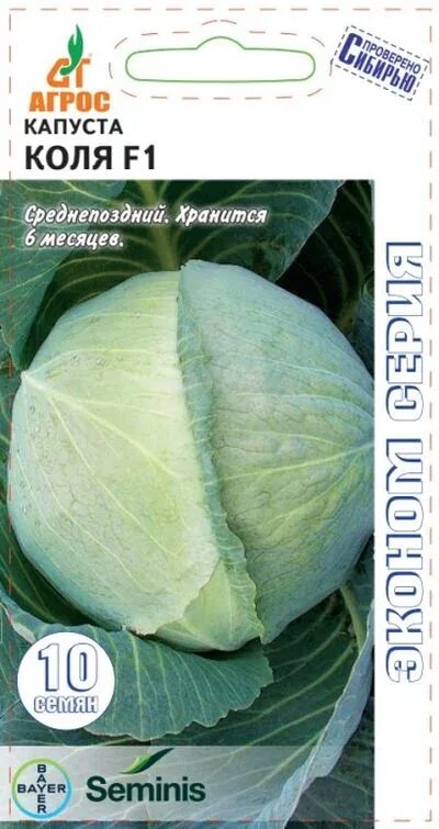 Капуста коля описание сорта фото Семена Капуста б/к Коля F1: описание сорта, фото - купить с доставкой или почтой