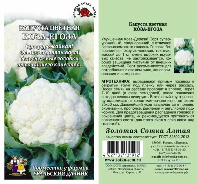 Капуста коза дереза фото Капуста цветная Коза Егоза