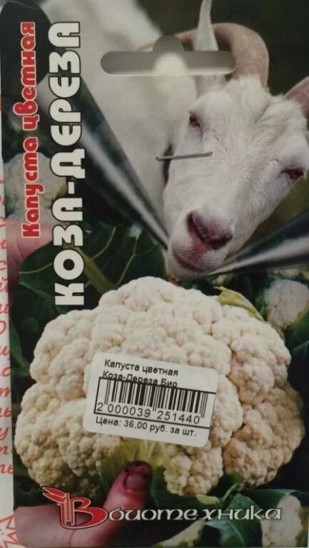 Капуста коза дереза описание сорта фото Капуста цветная "Коза-Дереза" (Биотехника) " Каталог " ССК-ДАЧА.РФ - ТОВАРЫ ДЛЯ 