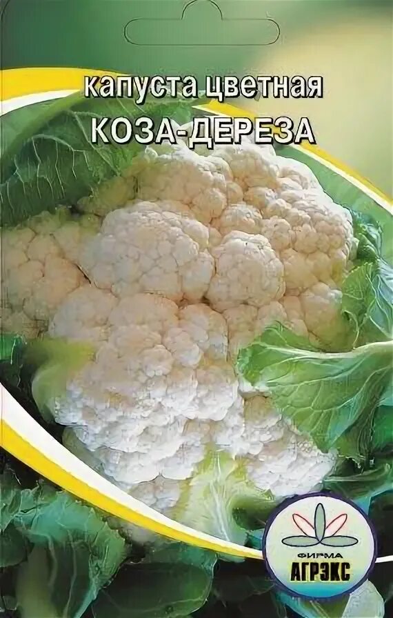 Капуста коза дереза описание сорта фото Фотографии сорта капусты Коза Дереза Зеленый рай Фотогалерея природы на dia-logi