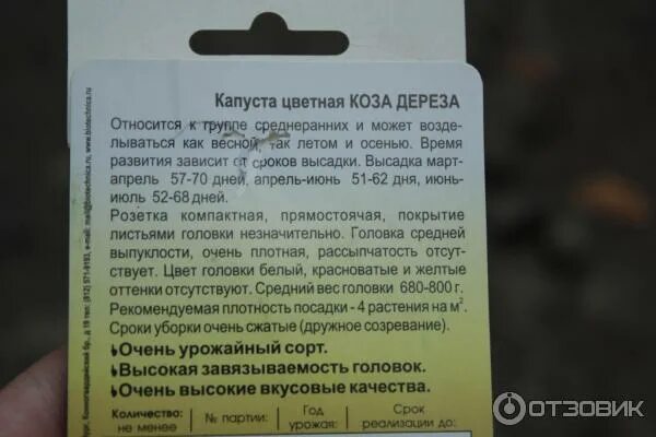 Капуста коза дереза описание сорта фото Отзыв о Семена Биотехника Коза-дереза "Капуста цветная" СтОит обратить на них вн