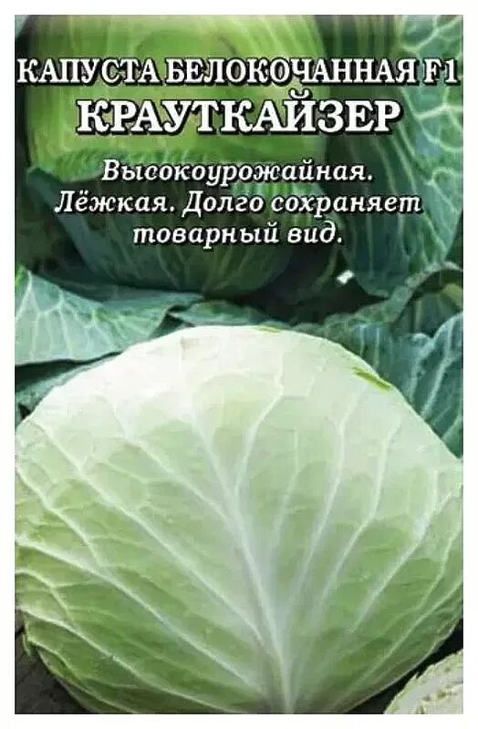 Капуста крауткайзер описание сорта фото Семена Капуста б/к Крауткайзер F1: описание сорта, фото - купить с доставкой или