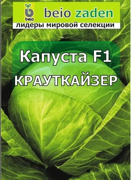 Капуста крауткайзер описание сорта фото Крауткайзер F1 (Bejo Zaden. Голландия) * СВеточки