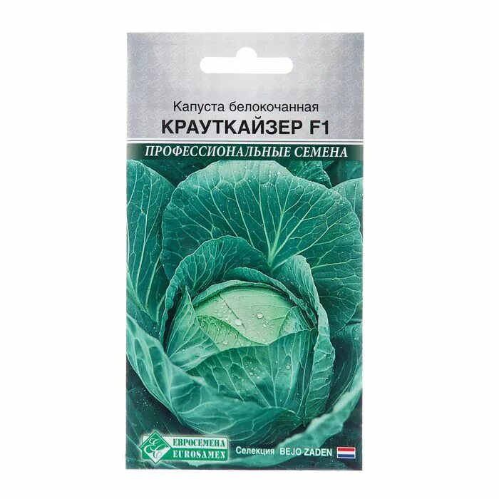 Капуста крауткайзер описание сорта фото Капуста RM10261232_разноцветный_Крауткайзер - купить по выгодным ценам в интерне
