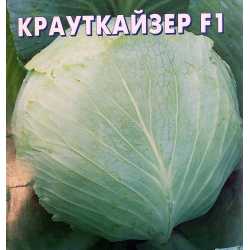 Капуста крауткайзер описание сорта фото отзывы садоводов Отзыв о Семена капусты белокочанной Сортсемовощ Крауткайзер F1 Наконец-то капуст