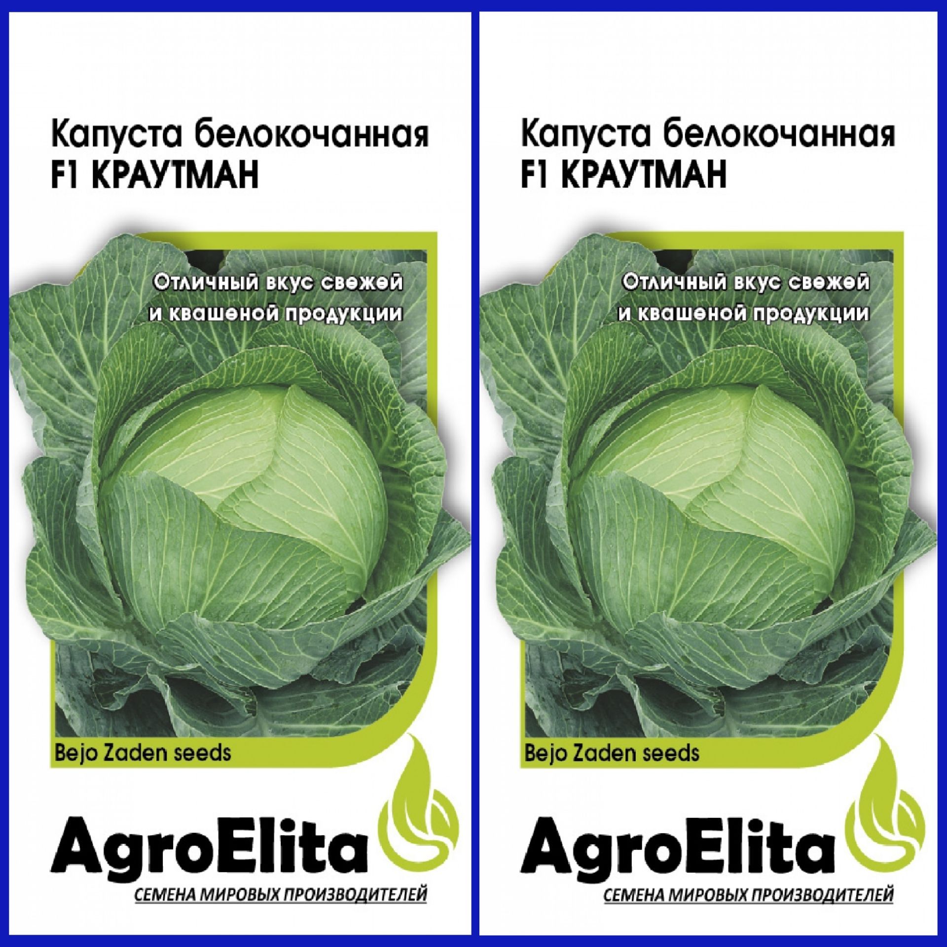 Капуста краутман f1 описание сорта фото отзывы Капуста AgroElita Капуста - купить по выгодным ценам в интернет-магазине OZON (8