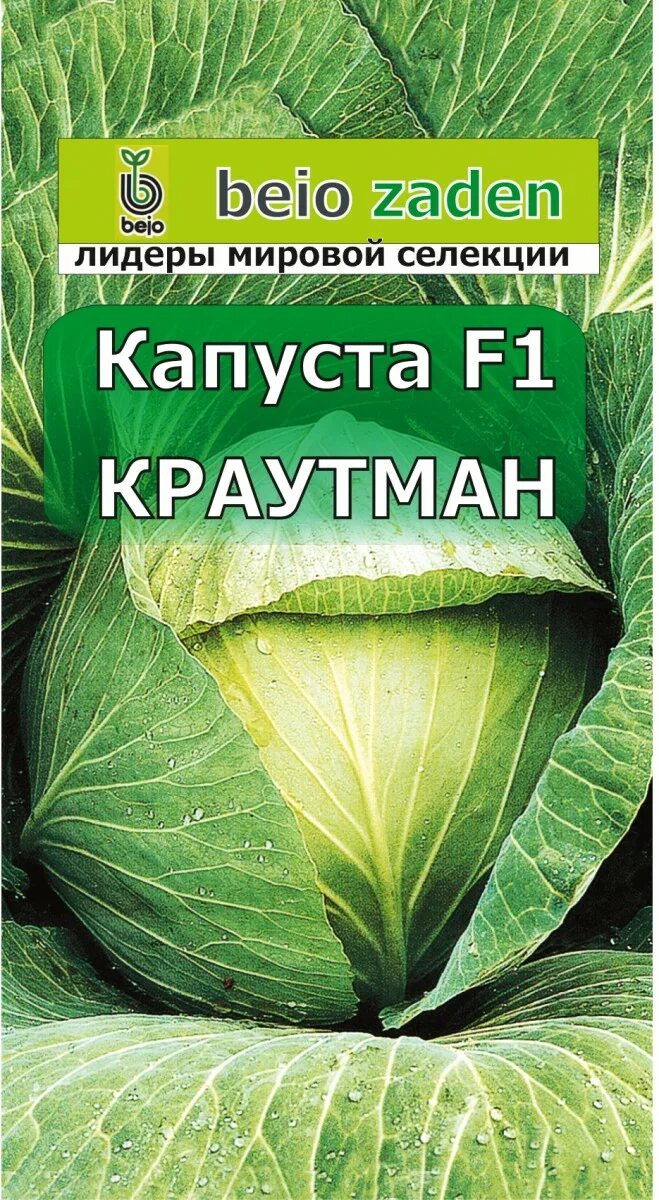 Капуста краутман f1 описание сорта фото отзывы Капуста Краутман F1 - купить в Нижнем Новгороде по низкой цене в интернет-магази