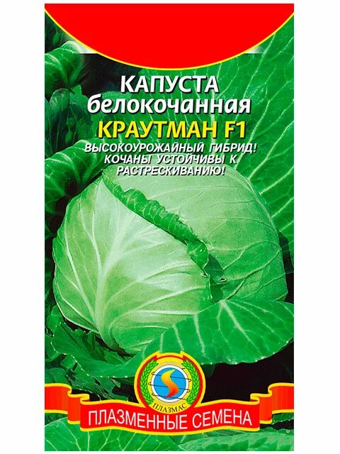 Капуста краутман описание сорта фото отзывы Капуста Капуста Белокочанная