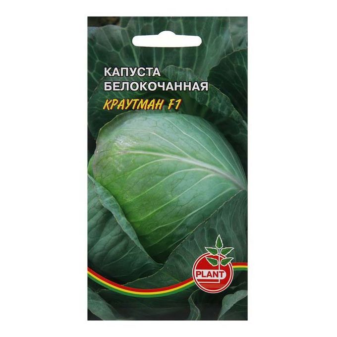 Капуста краутман описание сорта фото отзывы Краутман капуста характеристика и описание сорта: найдено 70 картинок