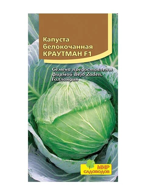 Капуста краутман отзывы фото Капуста Капуста Белокочанная