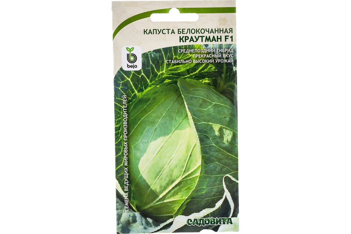 Капуста краутман отзывы фото Капуста сорт краутман отзывы