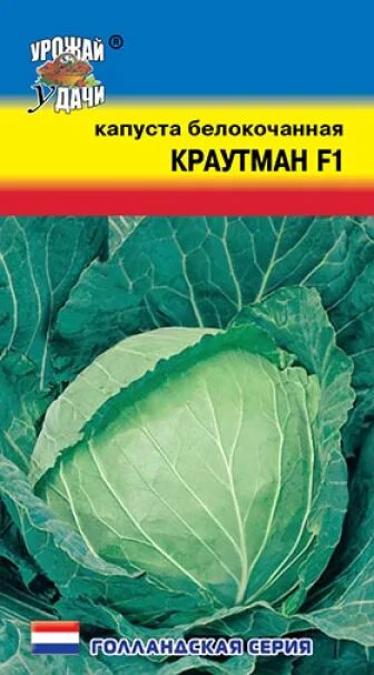 Капуста краутман отзывы фото Капуста КРАУТМАН F1 (Урожай Удачи)