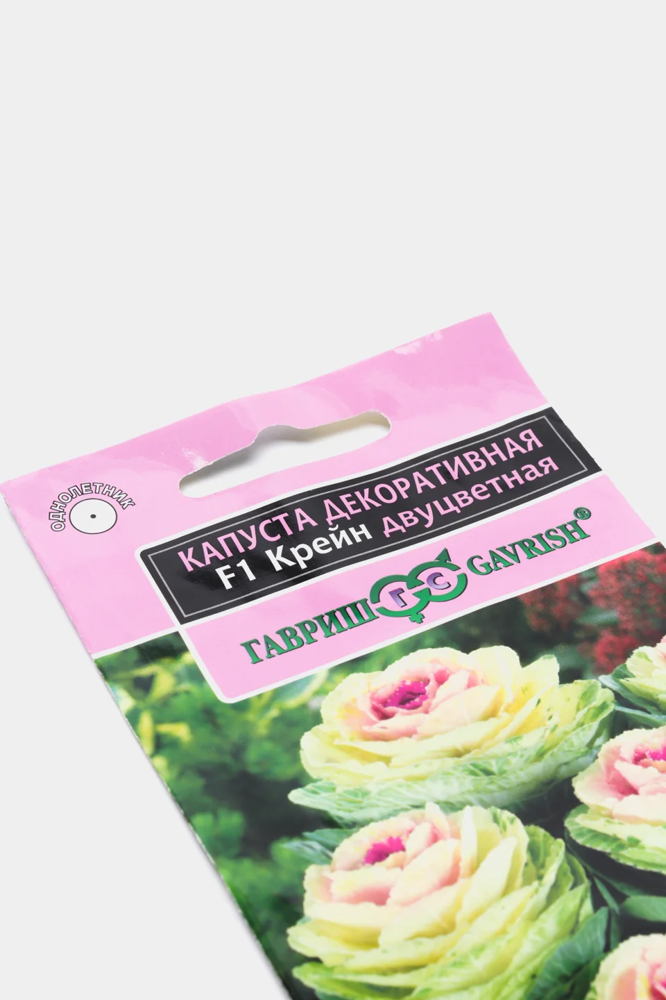 Капуста крейн пинк фото Декоративная капуста крейн пинк фото - PhotoDnya.ru