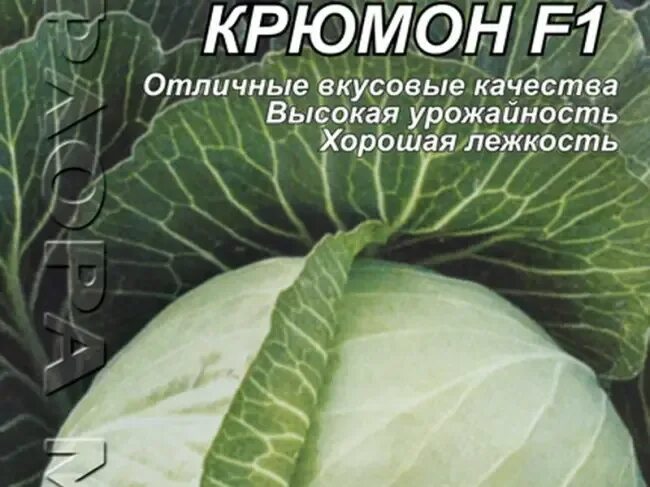 Капуста крюмон описание сорта фото отзывы Капуста Крюмон: описание сорта, фото, видео