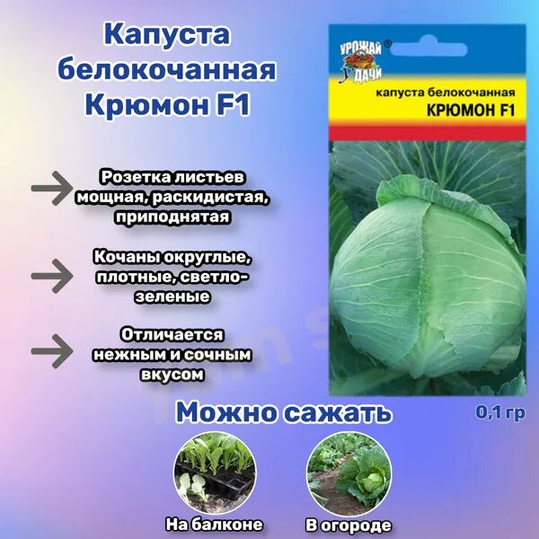 Капуста крюмон описание сорта фото отзывы Капуста Урожай удачи Капуста Yom Shop - купить по выгодным ценам в интернет-мага