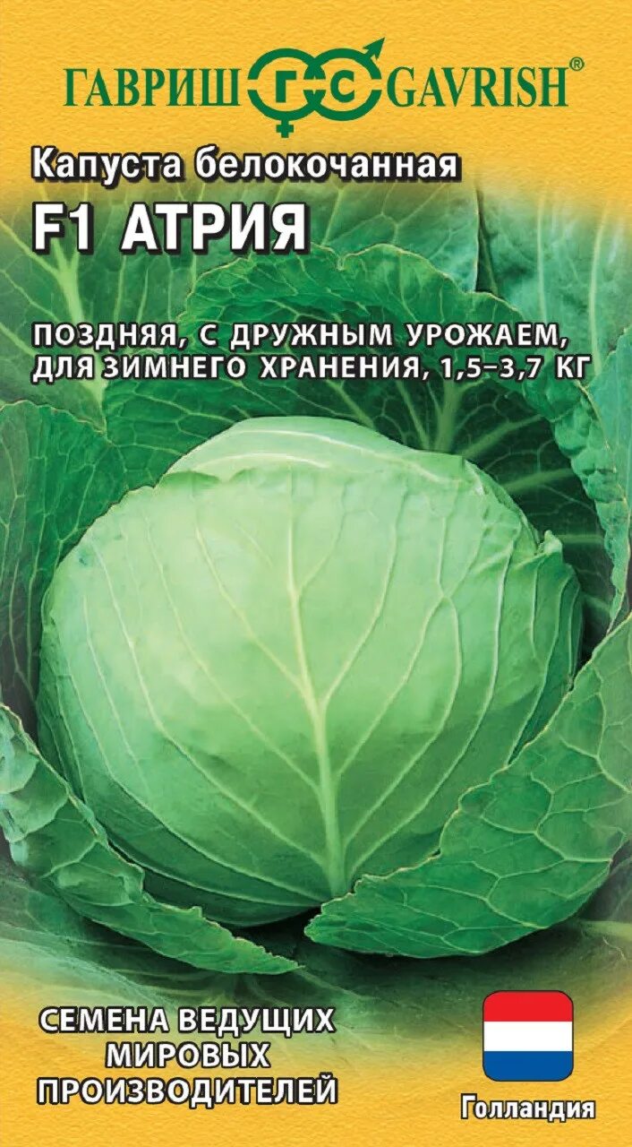 Капуста кухарка описание сорта фото отзывы ✔ Семена Капуста белокочанная Атрия F1, 10шт, Гавриш, Ведущие мировые производит