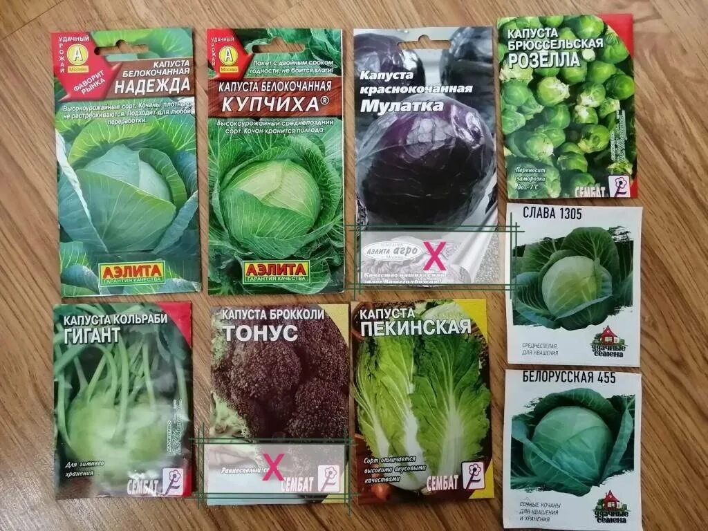 Капуста купчиха описание сорта фото Капуста Купчиха Описание Сорта Фото Отзывы - Karevaphoto.ru