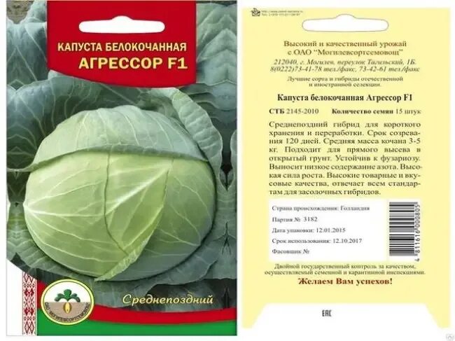 Капуста купчиха описание сорта фото отзывы Капуста сорт купчиха отзывы фото: найдено 87 изображений