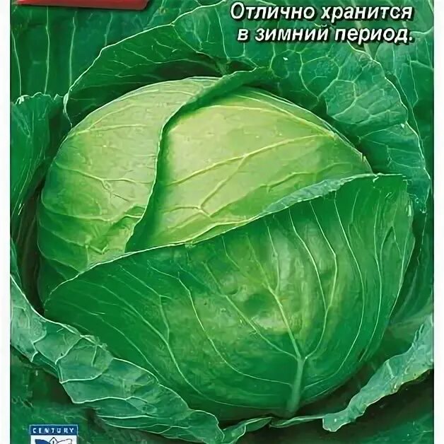 Капуста купчиха отзывы фото Капуста б/к Парус